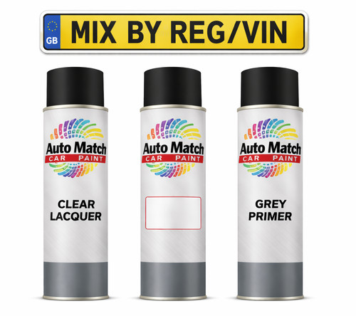Aerosol spray paint kit - kit, mixed