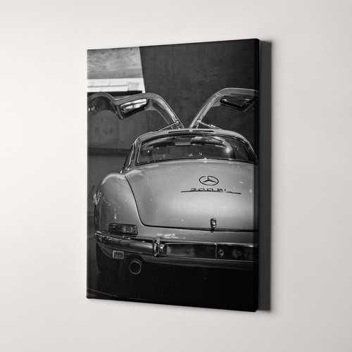 Mercedes benz 300 wing - 300,