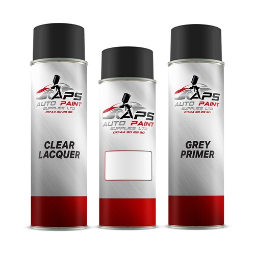 Aerosol spray paint kit mixed - spray,